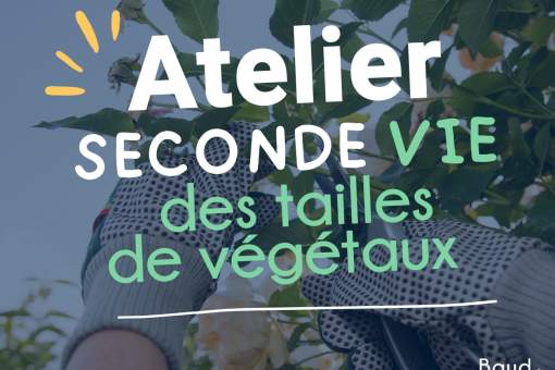 Affiche atelier vie des vegetaux Publication Facebook