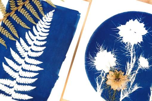 Atelier cyanotype