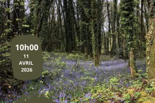 633293194 122103326283248369 8437877206796186463 n